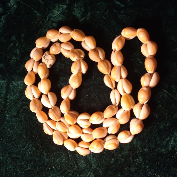 F-23 Sea Shell necklace lot - Picture 6 of 6